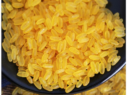 可食用大米吸管代替普通吸管更環保